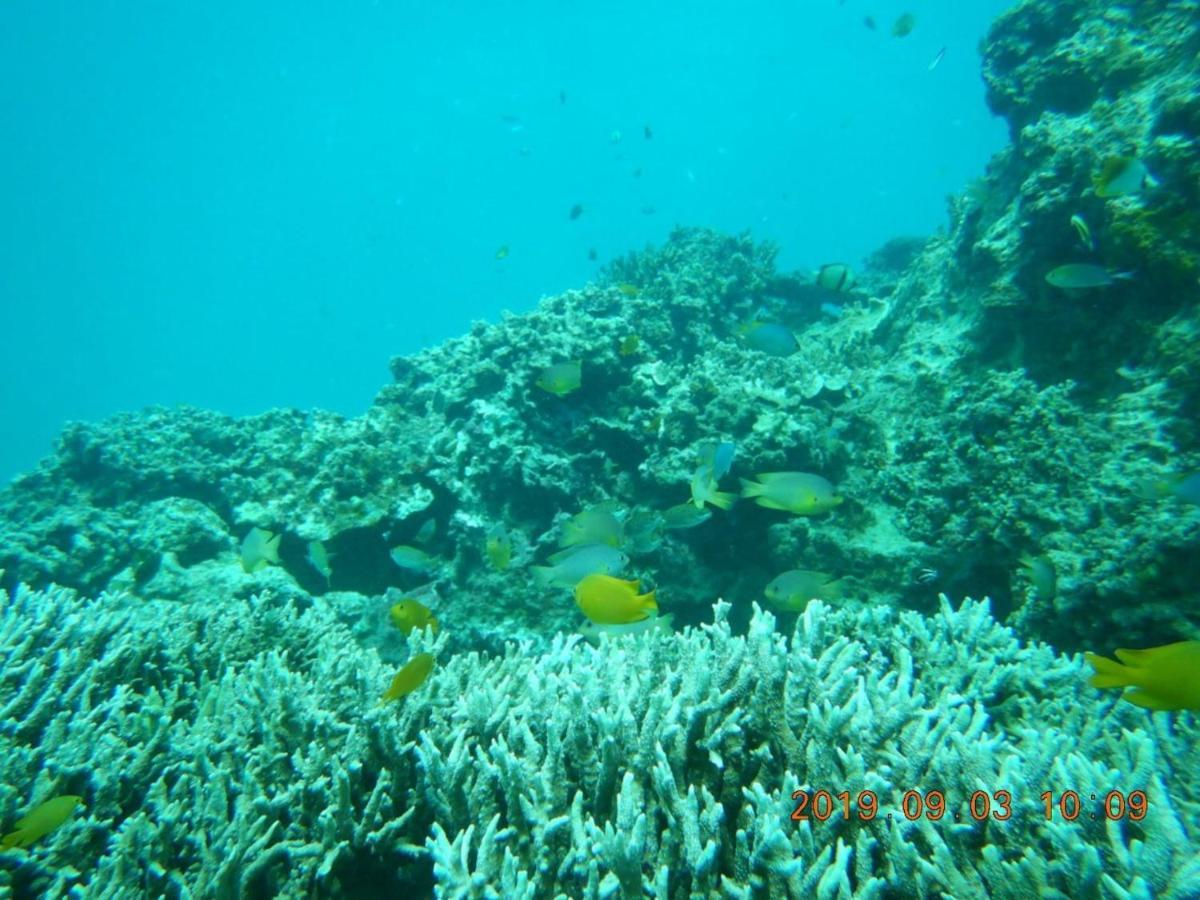 海之恋 Villa Miyakojima  Bagian luar foto